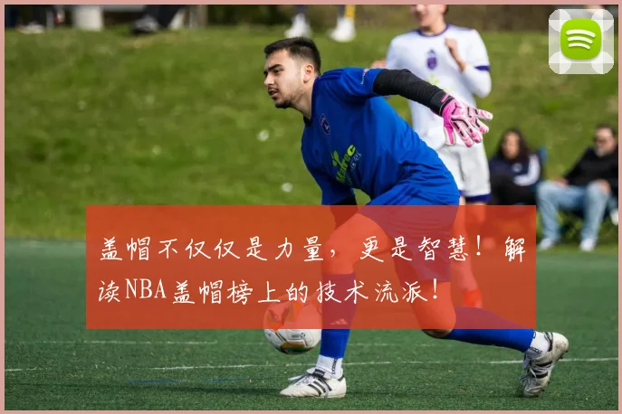 盖帽不仅仅是力量,更是智慧!解读NBA盖帽榜上的技术流派!