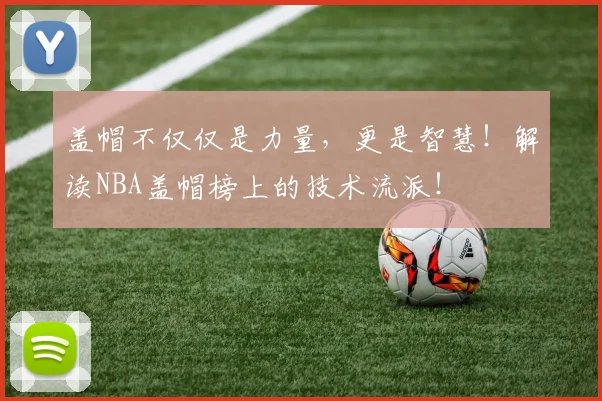 盖帽不仅仅是力量，更是智慧！解读NBA盖帽榜上的技术流派！